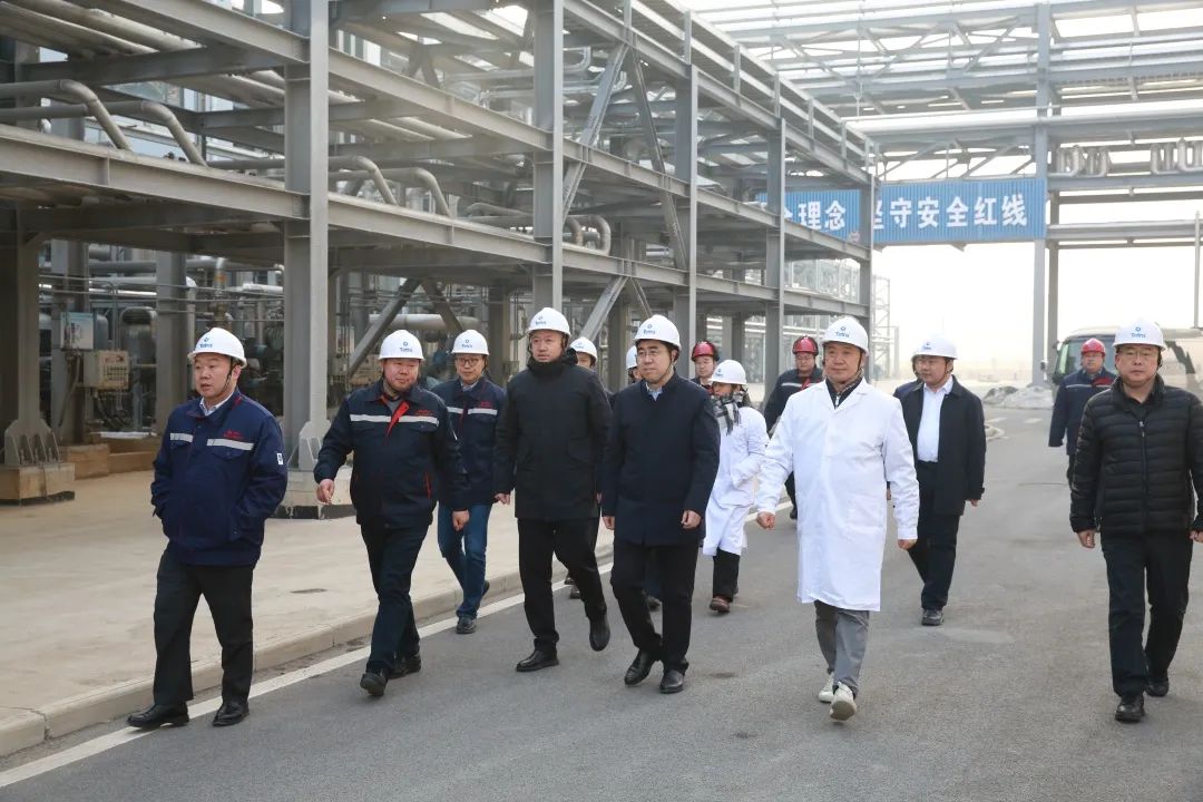 Direttore Zhu Shengyong del pannello di gestione della zona di sviluppo economico del porto di Dongying, è andato alla Base di produzione di Shandong di Tetra per la ricerca